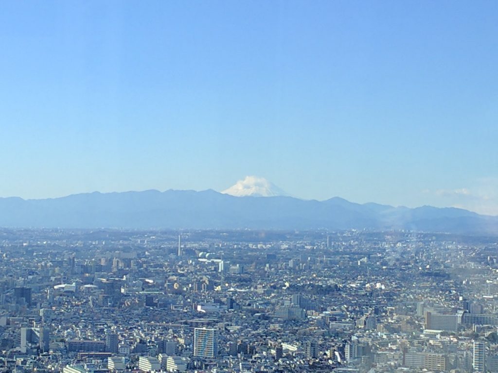 View of Mount Fuji from the Tokyo Metropolitan Government Building observation room